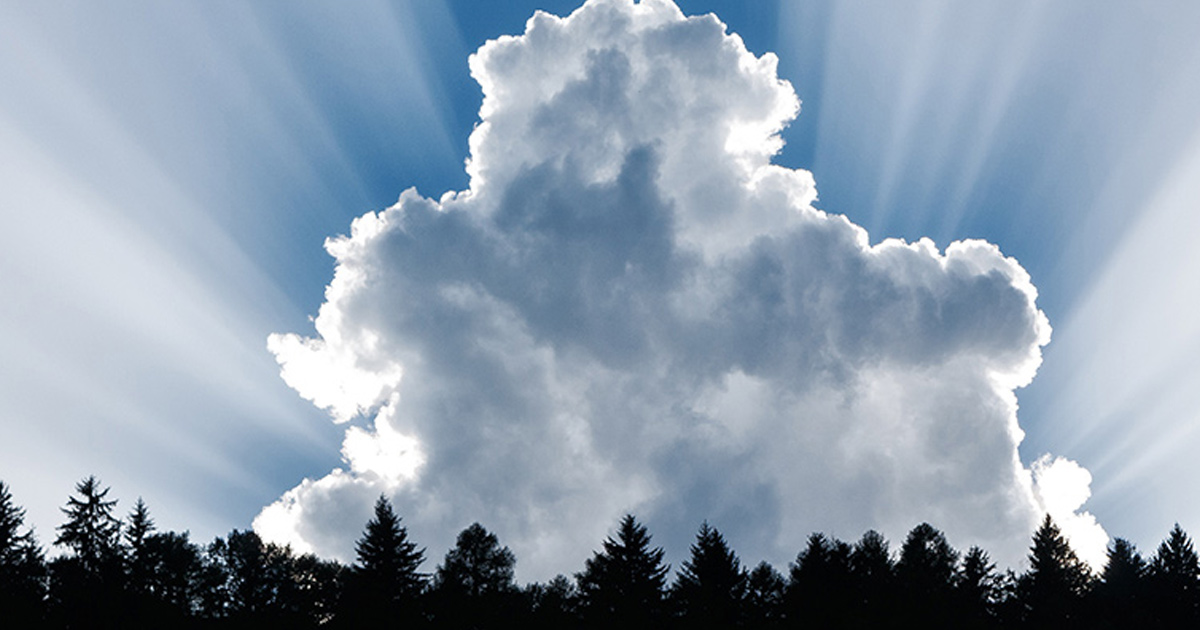 Clouds above trees