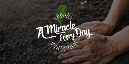 You are truly are a miracle!