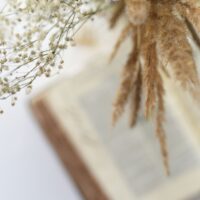 Dried flowers and a bible